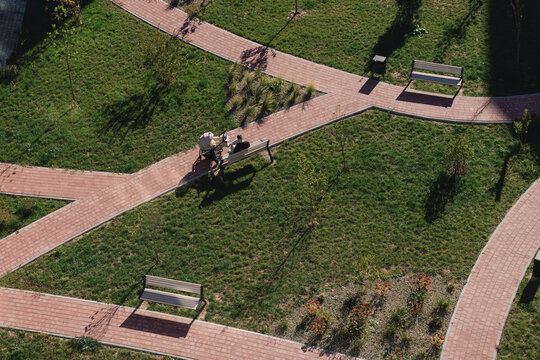 Aerial view of father using gadget on bench near stroller in park