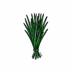 Illustration of a bunch of green chives tied with a string