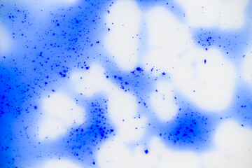 Abstract Background of Copper Peptides Skin Care Product on White Background