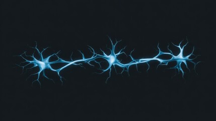 Diverse group of neurons depicting complex interactions within the nervous system and brain functionality