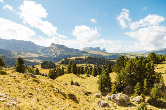 Breathtaking Mountain Landscape Under a Blue Sky in Summer