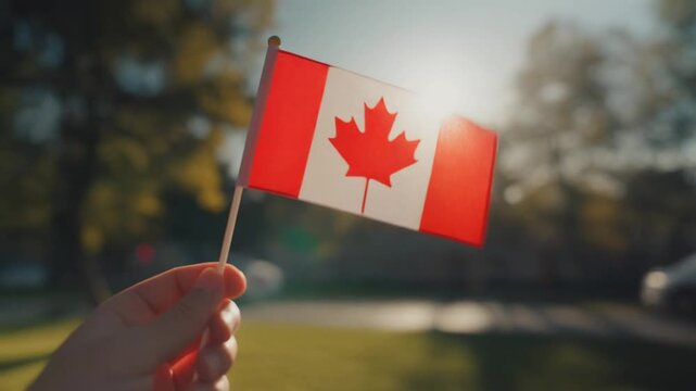 canadian flag on mini pole stick holding by hand waving in the wind