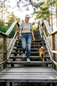 Woman walking dog down wooden stairs on forest nature trail