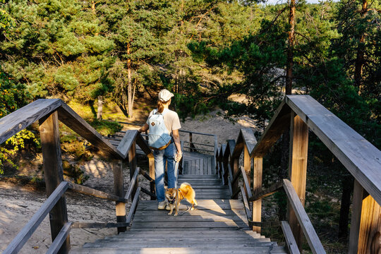 Woman walking dog down wooden stairs on forest natural trail