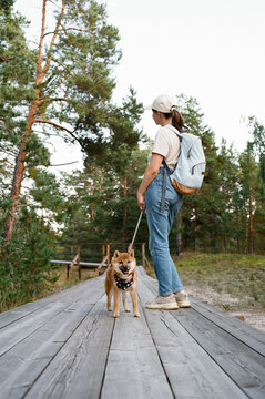 Woman standing with dog on wooden boardwalk in pine forest