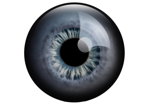 human eye ball isolated on transparent or white background
