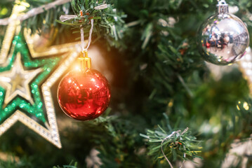 Red Ornament on Christmas Tree Branch