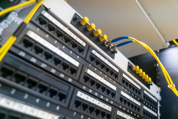 Network Switch Panel with Cables and Connectors