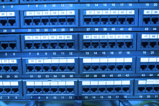 Ethernet Patch Panel with Network Ports - Powered by Adobe
