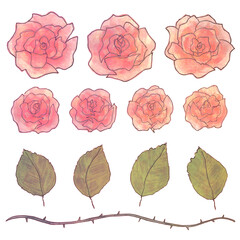 手書き風の薔薇イラストセット・赤ばらと葉っぱ