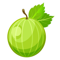  green gooseberry on white background