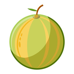 honeydew melon  vector isolated on white background