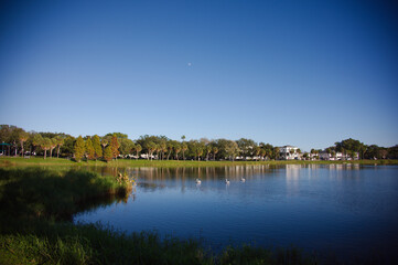 Peaceful Lakeside Park With Clear Sky, Trees, And Birds On Calm Water At Dusk. Crescent Lake in St. Petersburg, FL. Lush green grass, and a line of trees along the shore. Gentle birds glide on the wat