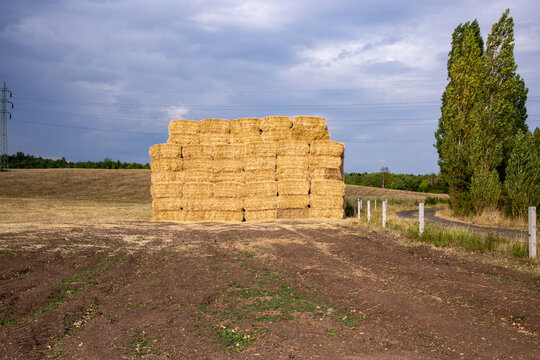 Large stack of baled hay