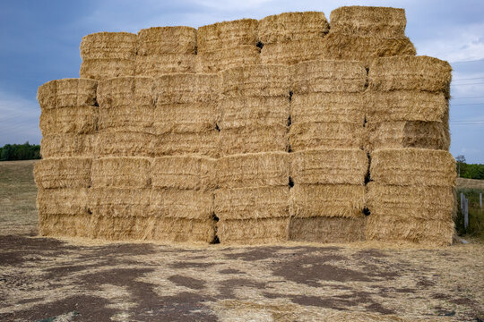 Large stack of baled hay