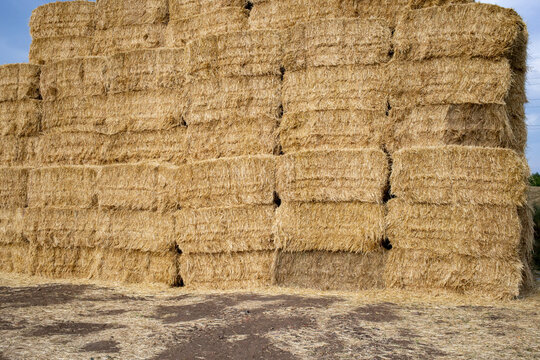 Large stack of baled hay