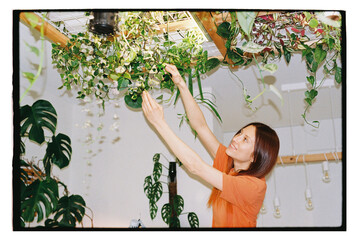 Gardening activity with indoor plants and soil