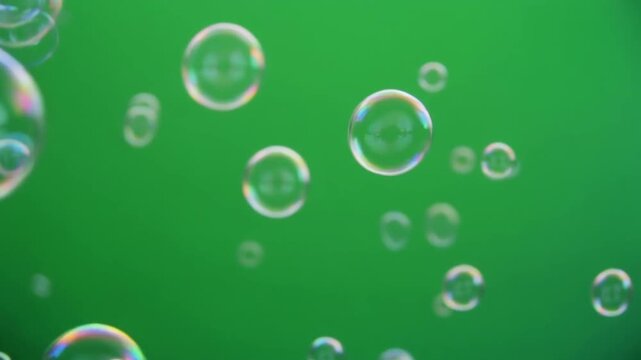 transparent green soap bubbles floating on green screen