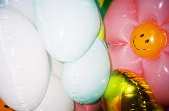 A bouquet of balloon flowers