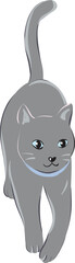 Simple Graphic Art of a Domestic Pet Cat