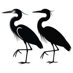 Obraz premium heron on the beach