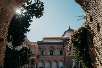 Bougainvillaea and ornate buildings, Seville.