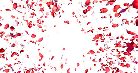 Flower petals flying here in the wind. Several red and white flowers. Isolated on black background. 3D rendering.