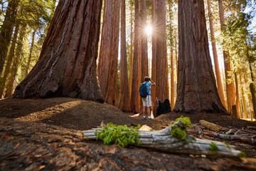 Traveler explores Sequoia National Park