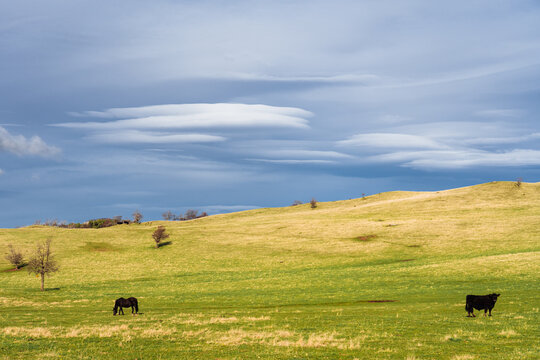 Unique clouds over green pasture in Patagonia
