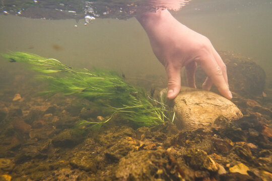 Human hand touches the river bottom