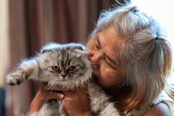Asian senior woman sitting indoors playing with her cat at home