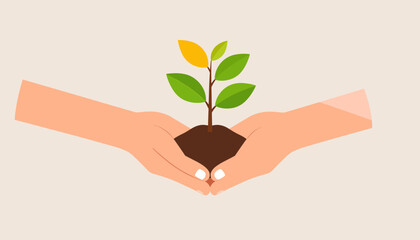Hands holding a small plant with green and yellow leaves growing from soil.
