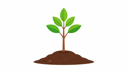 Illustration of a young plant growing in soil with green leaves.