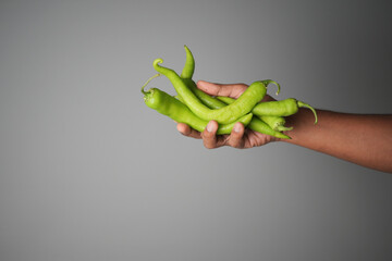 Holding fresh green chilies in hand for cooking
