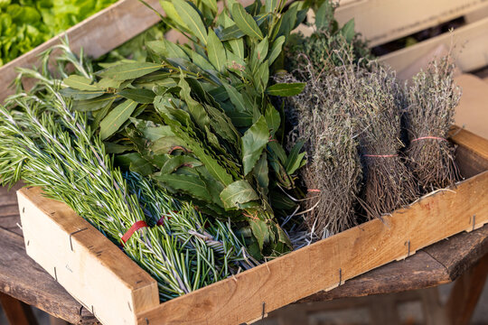 Fresh Aromatic Herbs at Farmers Market