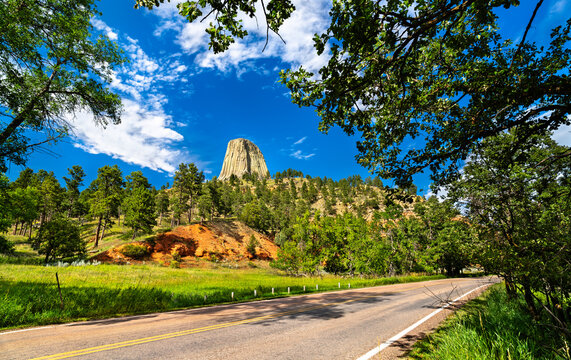 View of Devils Tower National Monument in Wyoming. Bright red earth and a pine forest are in the foreground, under a deep blue sky with clouds