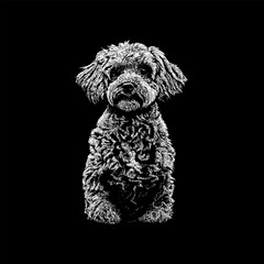 Doxiepoo sitting calmly, showcasing its curly coat, floppy ears, and expressive eyes. The intricate linework emphasizes the dog’s texture.