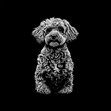 Doxiepoo sitting calmly, showcasing its curly coat, floppy ears, and expressive eyes. The intricate linework emphasizes the dog&rsquo;s texture.