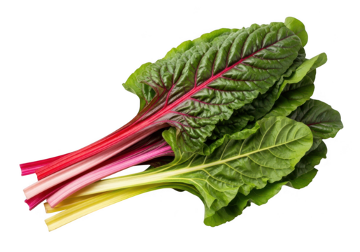 Rainbow chard bunch isolated on black background, vibrant red and green leaves and stems isolated on transparent background