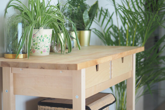 Wooden table with plants in a bright indoor space