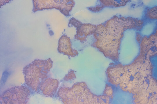 Golden Algae Patterns in the South Icelandic Sea