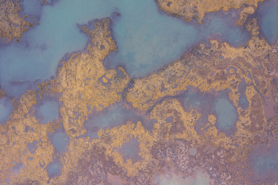 Golden Algae Patterns in the South Icelandic Sea