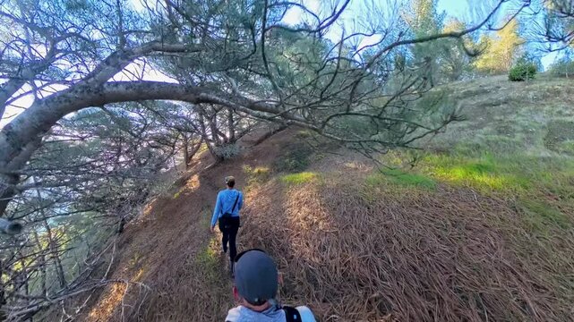 Winding Up Torrey Pines Trail in Channel Islands National Park