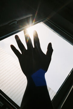 A silhouette of a hand