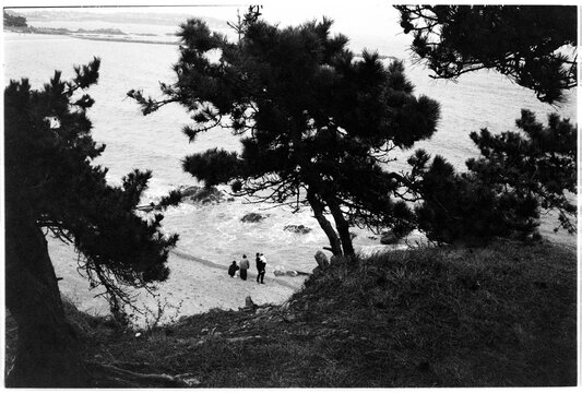 The view of Qingdao's beach