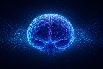 Fototapeta premium detailed_human_brain_glowing_with_soft_blue
