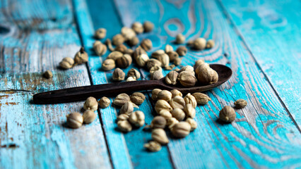 Dry Cardamom (kapulaga, Amomum compactum, cardamum). Cardamom are used as flavorings and cooking spices in food and drink
