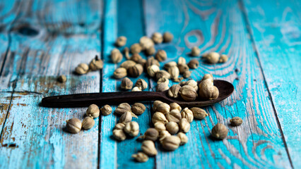 Dry Cardamom (kapulaga, Amomum compactum, cardamum). Cardamom are used as flavorings and cooking spices in food and drink