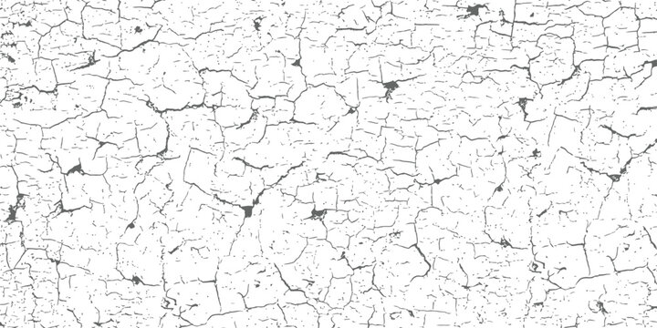Grunge Crackle Texture Overlay Vector Black and White Distressed Background