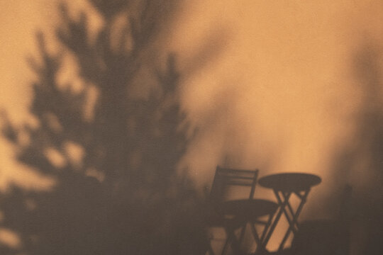 Fototapeta Pine tree and chairs shadow on an orange wall autumn background